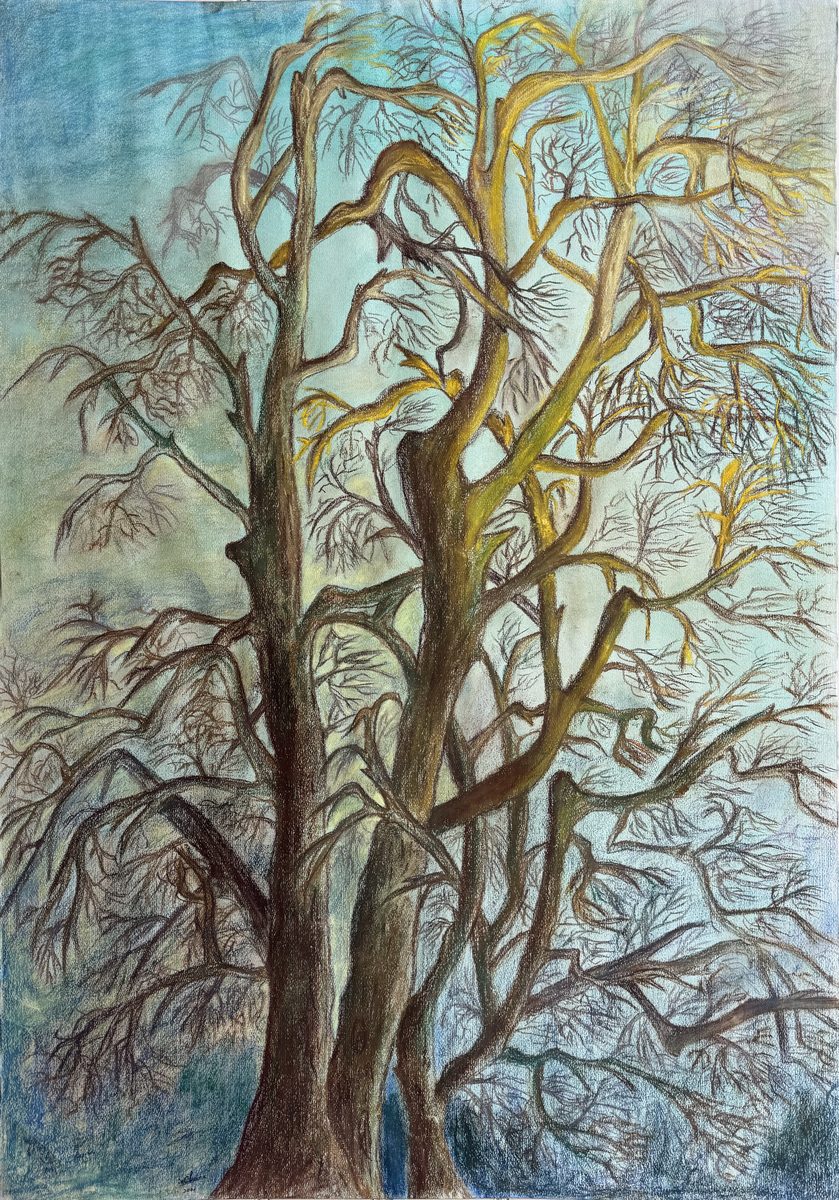 Chunna Lin, Peinture, gravure, technique mixte — Versailles